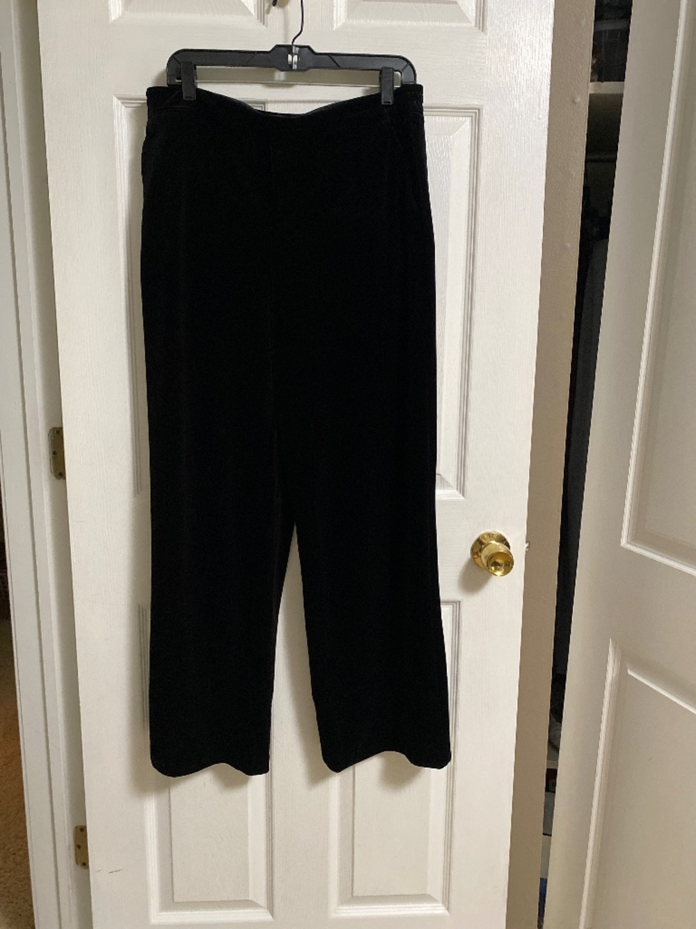 Blank NYC Velvet Pants New W/O Tags. Large
